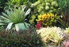 St Kilda Eastplanting-garden-and-landscape-design-24.jpg; ?>