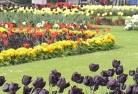 St Kilda Eastplanting-garden-and-landscape-design-25.jpg; ?>