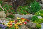 St Kilda Eastplanting-garden-and-landscape-design-69.jpg; ?>